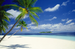 �Q�X�g���[��