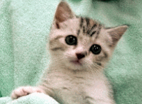 �C���[�W02